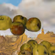 297