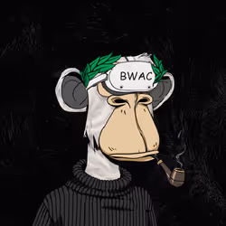 BWAC #206
