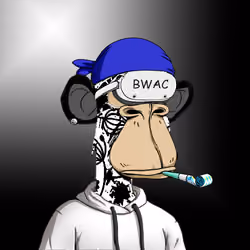 BWAC #246
