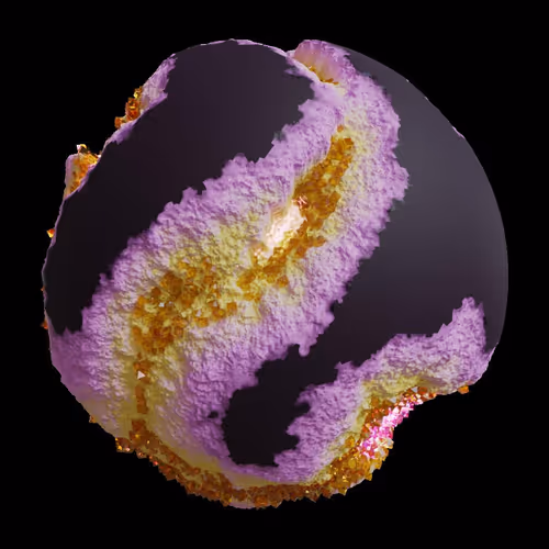 Asm Gen Ii Brains