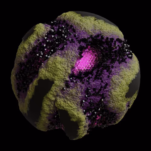 Asm Gen Ii Brains