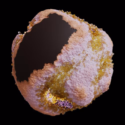 Asm Gen Ii Brains