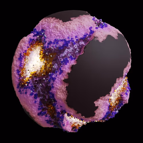 Asm Gen Ii Brains