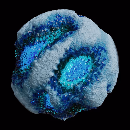 Asm Gen Ii Brains