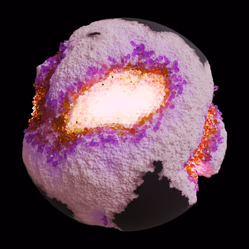 Asm Gen Ii Brains