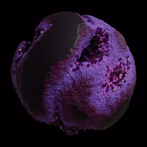 Asm Gen Ii Brains