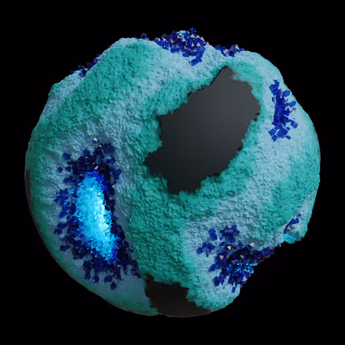 Asm Gen Ii Brains