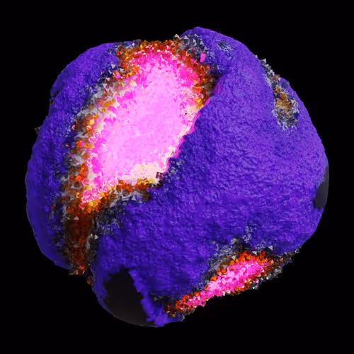 Asm Gen Ii Brains