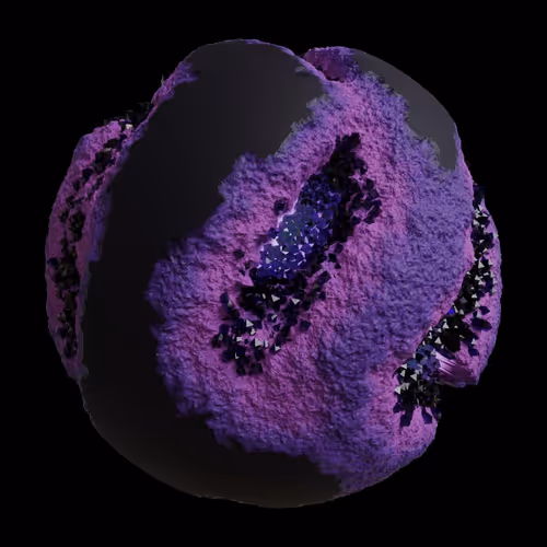 Asm Gen Ii Brains
