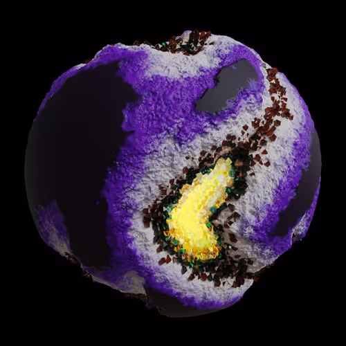 Asm Gen Ii Brains