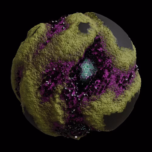 Asm Gen Ii Brains