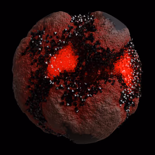 Asm Gen Ii Brains