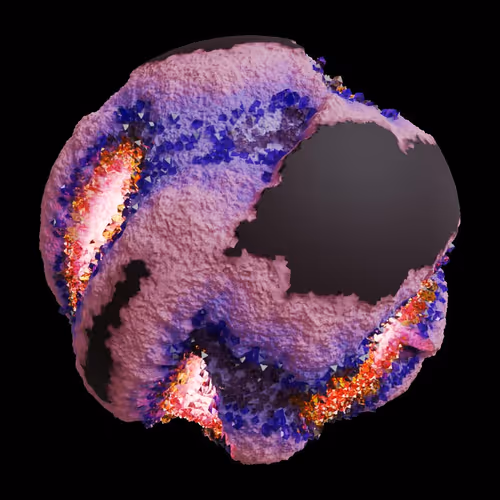 Asm Gen Ii Brains