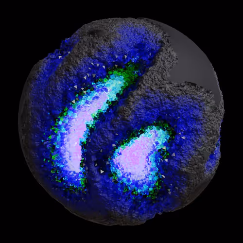 Asm Gen Ii Brains