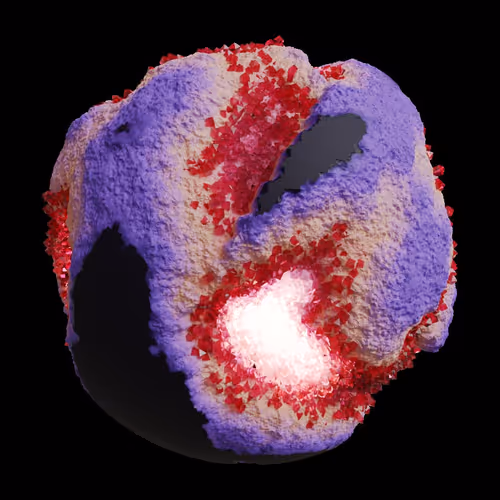 Asm Gen Ii Brains