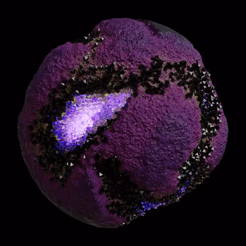 Asm Gen Ii Brains