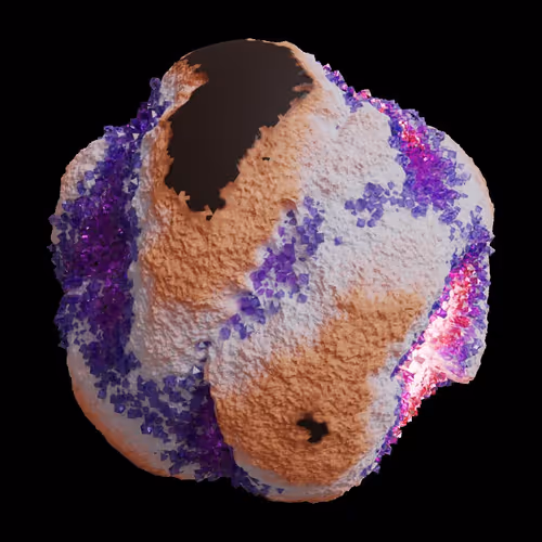 Asm Gen Ii Brains