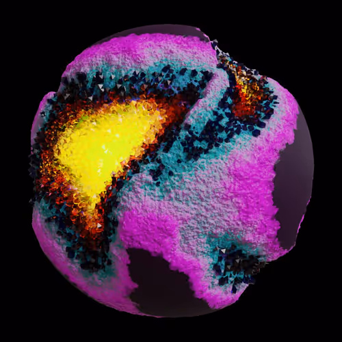 Asm Gen Ii Brains
