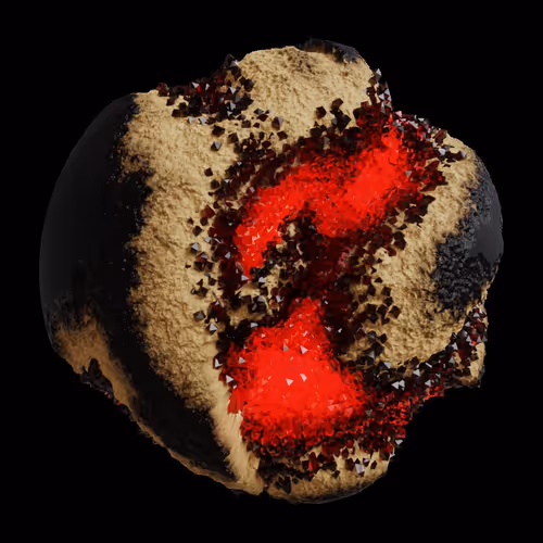 Asm Gen Ii Brains