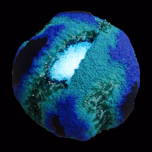 Asm Gen Ii Brains
