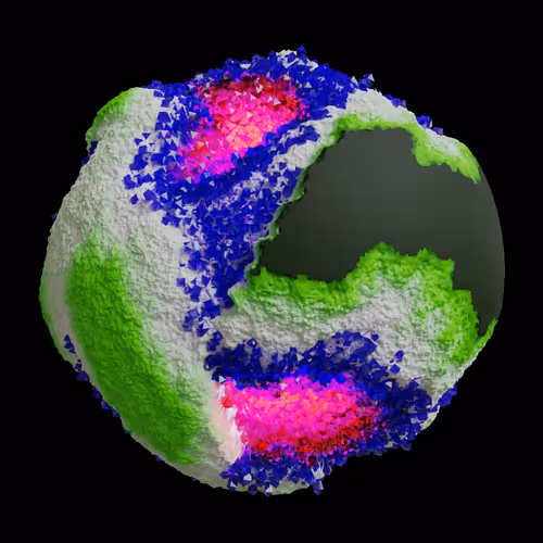 Asm Gen Ii Brains