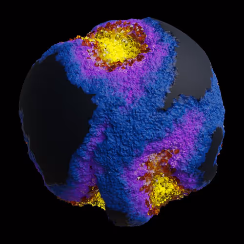 Asm Gen Ii Brains
