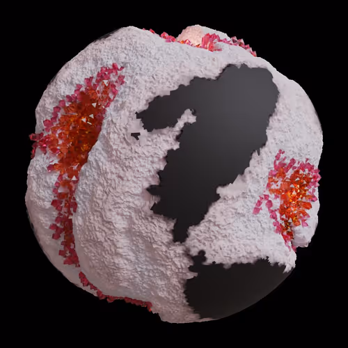 Asm Gen Ii Brains