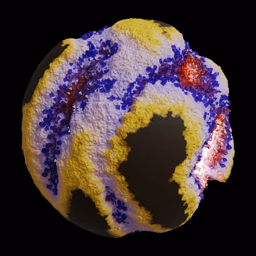 Asm Gen Ii Brains
