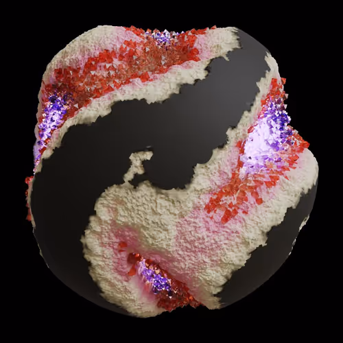Asm Gen Ii Brains