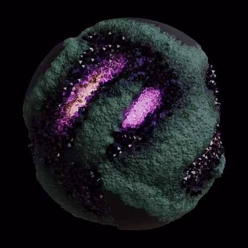 Asm Gen Ii Brains
