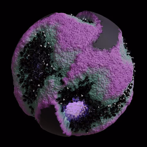 Asm Gen Ii Brains