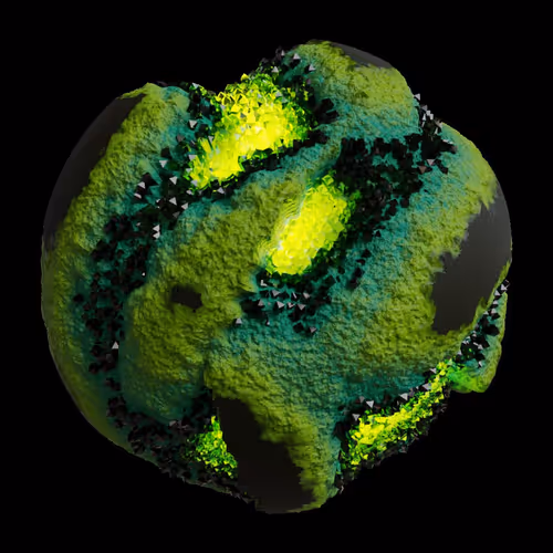 Asm Gen Ii Brains