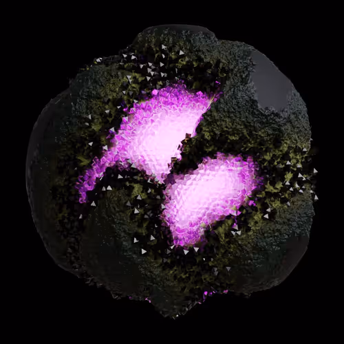 Asm Gen Ii Brains