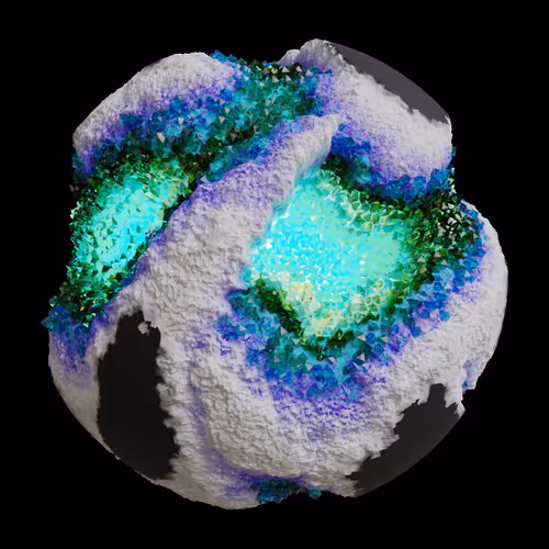 Asm Gen Ii Brains