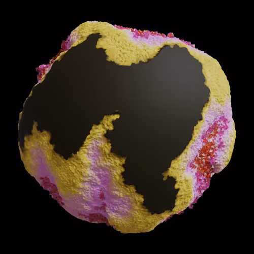 Asm Gen Ii Brains