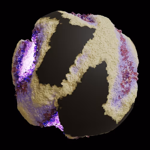 Asm Gen Ii Brains
