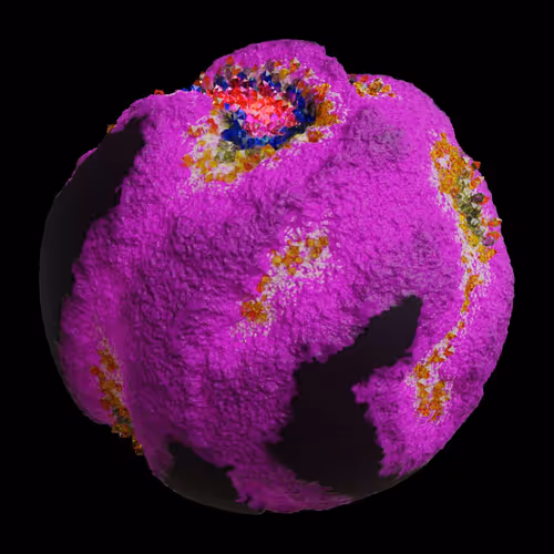 Asm Gen Ii Brains