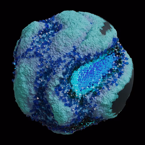 Asm Gen Ii Brains