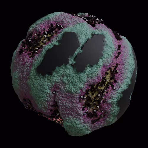 Asm Gen Ii Brains
