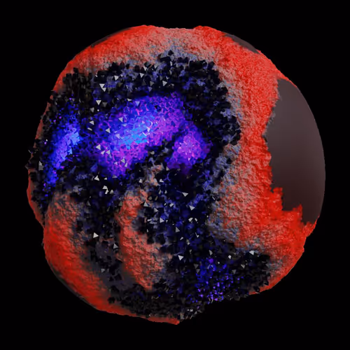 Asm Gen Ii Brains