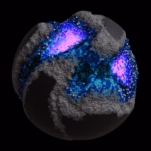 Asm Gen Ii Brains