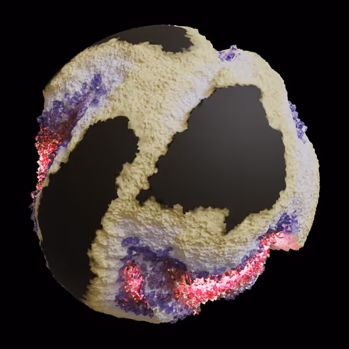 Asm Gen Ii Brains