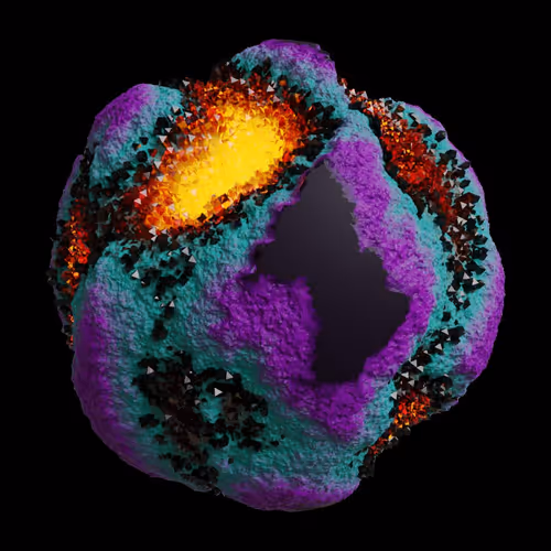 Asm Gen Ii Brains