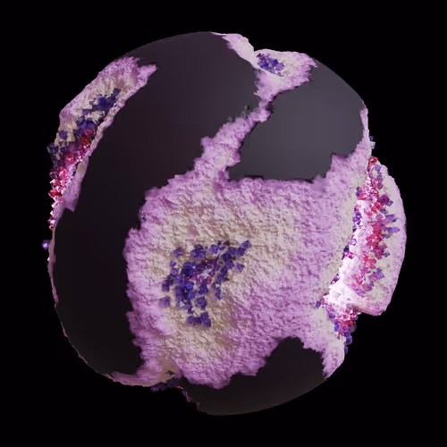 Asm Gen Ii Brains