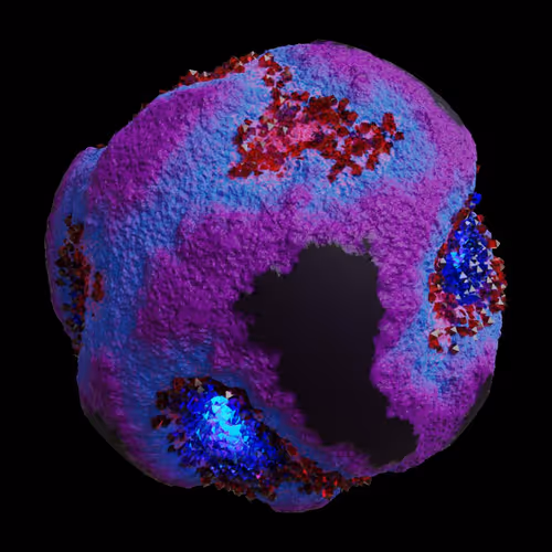 Asm Gen Ii Brains