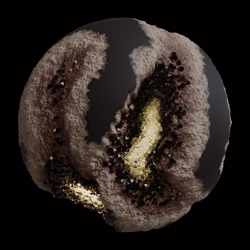 Asm Gen Ii Brains