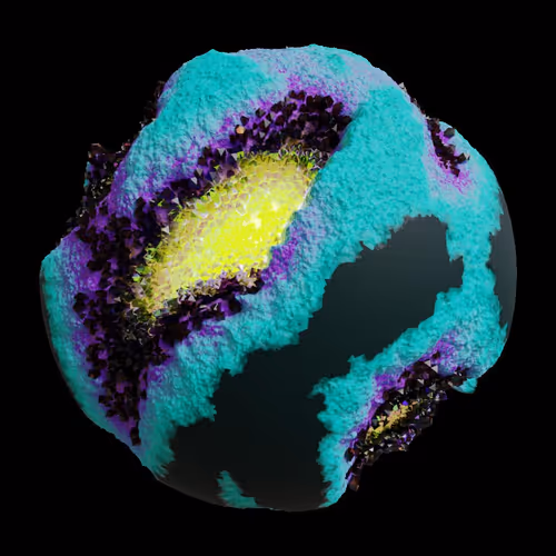 Asm Gen Ii Brains