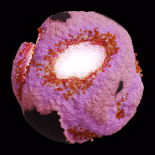 Asm Gen Ii Brains