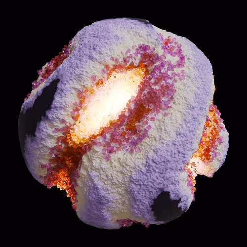 Asm Gen Ii Brains