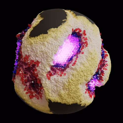 Asm Gen Ii Brains